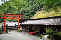 Private Walking Tour in Bamboo Forest & Hidden Spots in Arashiyama