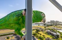 Blazing Bull Zip Line Activity at Toroverde Urban Park San Juan