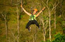 Canopy Zipline Tour from San Jose 