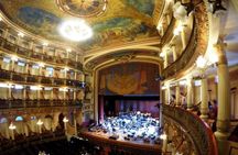 Manaus City Tour e Musa