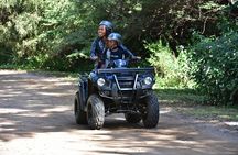 1 Hour Quad Biking Nature Trail at Sun City