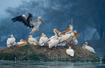Keoladeo Birds Park Tour From Agra To Jaipur Including Entry 