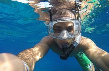 VIP Cenotes Private Tour (half-day)