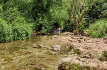 Full-Day Private Tour Along the Northern Shores of the Holy Land