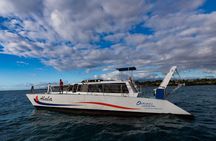 Snorkel Adventure on our Power Catamaran
