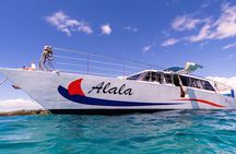 Snorkel Adventure from Kawaihae Harbor
