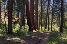  Day Tour to Kings Canyon National Park