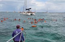 Catamaran Sailing through gorgeous waters of the Caribbean Sea to Isla Mujeres 