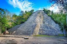 Tulum, Cenote, Coba Ruins & Fifth Avenue! Transportation from Playa Del Carmen