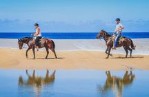 Los Cabos Horseback Riding