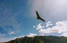 Colca Canyon Tour 2 Days