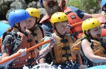 Bighorn Sheep Canyon Half-Day Rafting