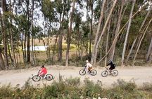 Bike and Ceviche Tour in Cusco - MTB