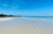 Magical Holbox Punta Mosquito Tour from Cancun