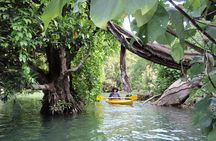 Full Day River Kayaking & Cascades from Port Vila