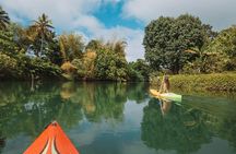 Full Day River Kayaking & Cascades from Port Vila