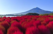 Seasonal Mt. Fuji Scenic Views, Fruit Picking and Ropeway Ride!