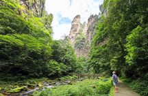 1 "Pandora" Day Trip-Zhangjiajie National Park(Avatar Mountain Scenery)