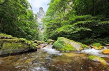 1 "Pandora" Day Trip-Zhangjiajie National Park(Avatar Mountain Scenery)