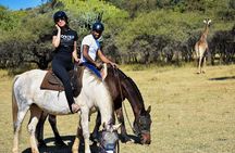 2-Hour Horseback Safari in Hartbeespoort