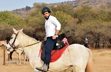 2-Hour Horseback Safari in Hartbeespoort