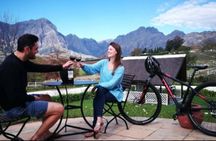 Stellenbosch Private E-Bike & Wine Tour