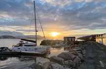 Arctic Fjordcruise & Safari in Tromso with Luxury Catamaran 