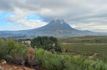 Stellenbosch Hike & Wine Tasting