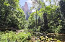 2-Day “Best Of Zhangjiajie”-Avatar World & Tianmen Mountain Tour