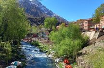 Ourika Valley and Atlas Mountains Day Trip 