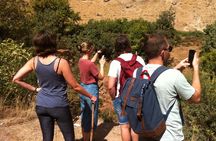 Visit the waterfall and hidden caves