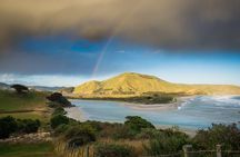 Peninsula Encounters + Wildlife Cruise