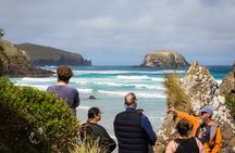 Peninsula Encounters + Wildlife Cruise