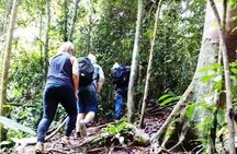 All-in 2N/3D Bukit Lawang Tour For School