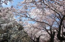 Morioka Half-Day Private Tour with Government-Licensed Guide