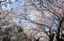 Morioka Full-Day Private Tour with Government-Licensed Guide