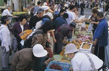 Morioka Full-Day Private Tour with Government-Licensed Guide