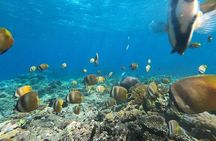 Bali Private Snorkeling (Manta, Gamat, Wall) and Nusa Penida Tour