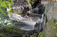 No. 1. Of ubud activites tour - Bali 