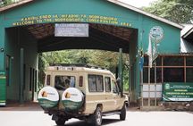 2-Days Camping Safari Tarangire and Ngorongoro Crater