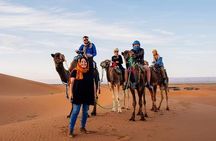 Sahara Désert 3 Days 2 Nights include transport tent lunch and B&B camel Ride