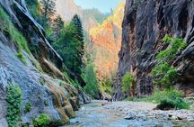 Zion Narrows - Small Mixed Group Tour