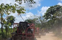 3-Hour Awesome Dune Buggy Excursion in Punta Cana