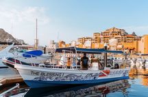 Whale Watching Tour in Cabo San Lucas