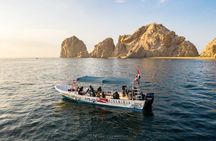 Whale Watching Tour in Cabo San Lucas