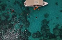 Snorkeling at Dimaniyat Islands