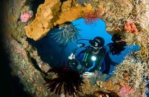 PADI Open water Course in Tulamben - Get certified & dive anywhere in the world