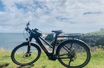 E-Bike Half-Day Trip to Harrys Rock or Corfé Castle