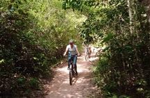 Sunset or sunrise bicycle tour around Angkor Wat and nearby temples