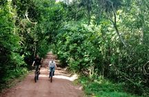 Sunset or sunrise bicycle tour around Angkor Wat and nearby temples